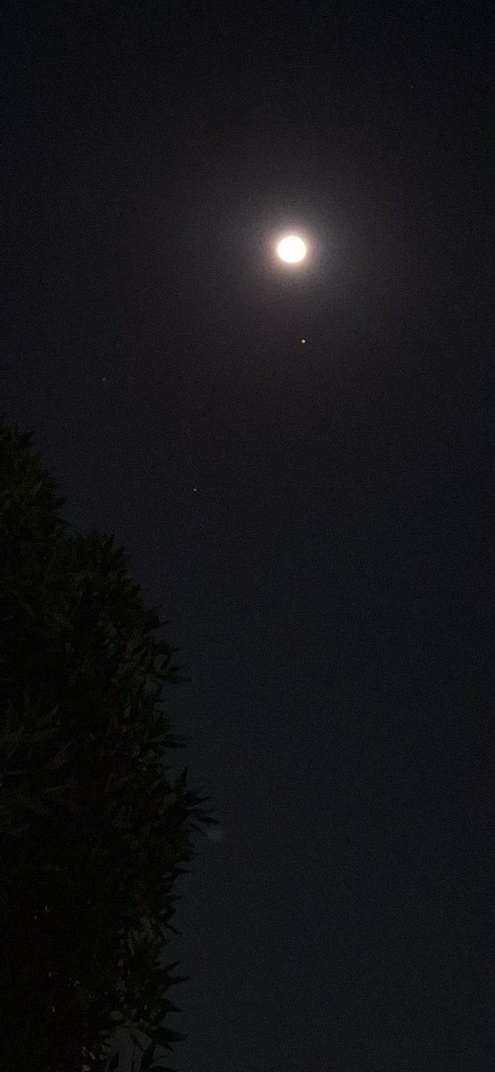 ransomredrum's tweet photo. Chandrama aur Mangal
@Theme_pic_India
#mobileclick
#planetsclub
#MoonlightMystique
#Nightsky
#MenAreFromMars https://t.co/vqlcKyDGfD