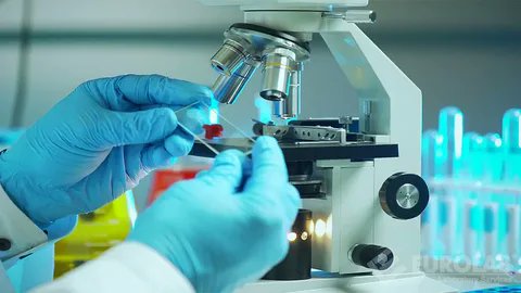 nalawade_p31106's tweet image. With rising #infectious diseases &amp;amp; antibiotic resistance, the hospital microbiology testing market is expanding. AI, automation &amp;amp; #rapid diagnostics are driving efficiency &amp;amp; accuracy. 

To Get more:tinyurl.com/535sce9h

#MicrobiologyTesting #Healthcare #Diagnostics