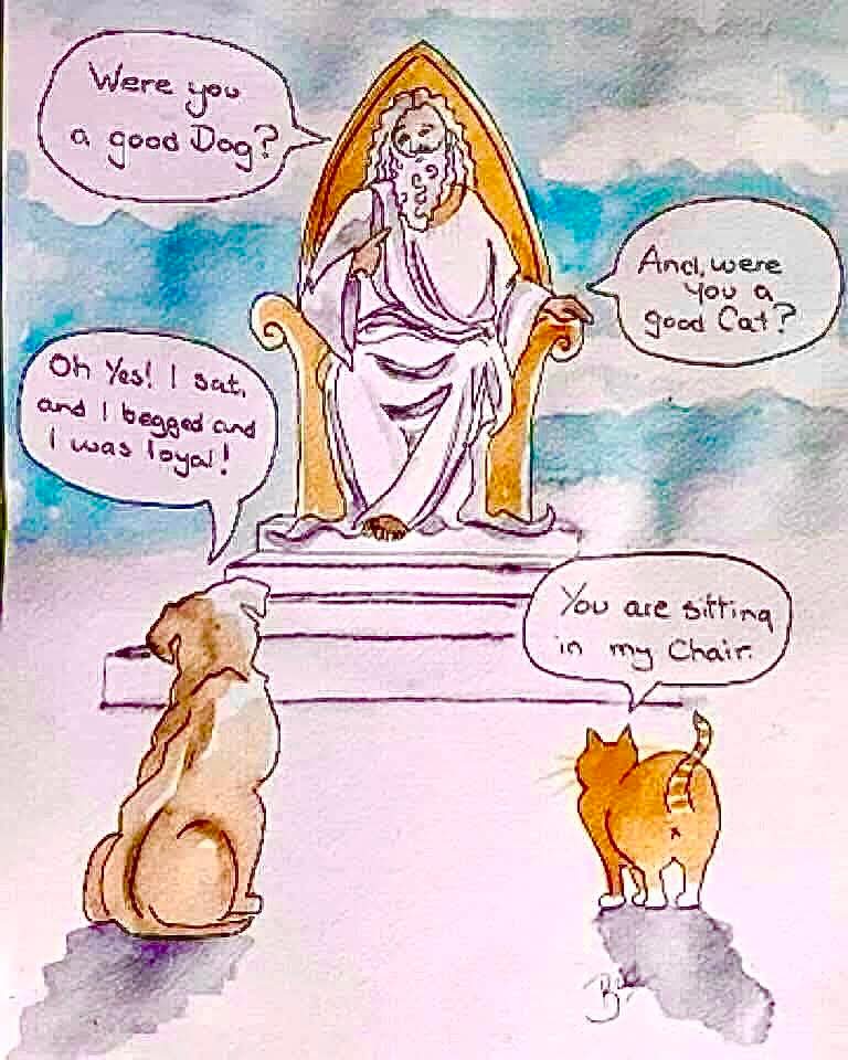 Katie Harrison tweet media