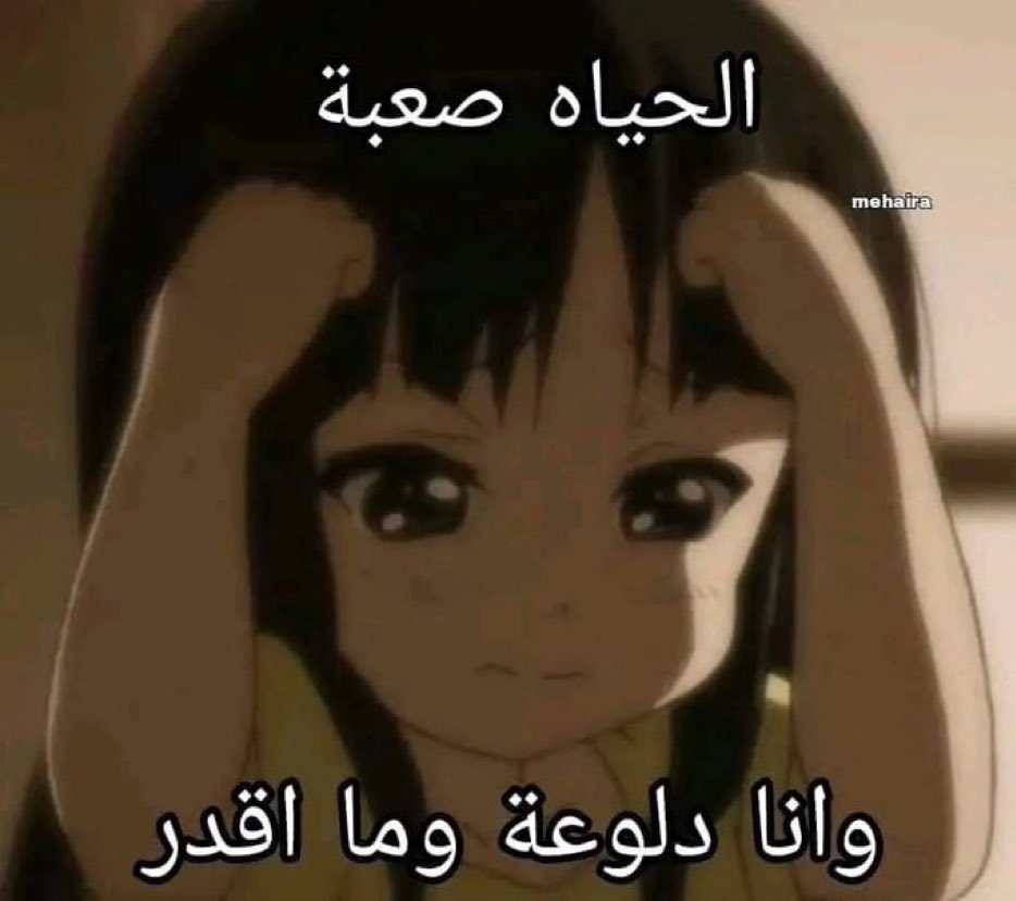 سعود tweet media