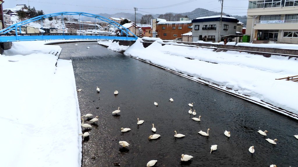 雪にズボって顔つっこみたくなるよね
よく柴犬とかがやってるもんね