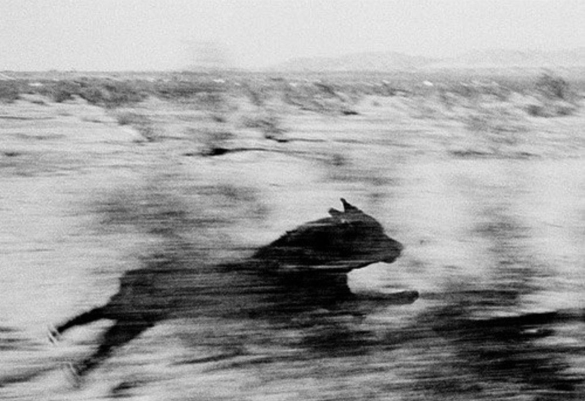 Caesar🔱 tweet media