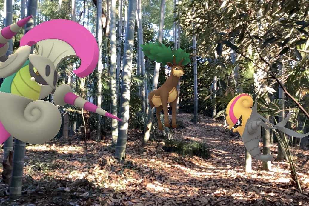 ekoko0314PokeGO's tweet photo. 『竹林にて対峙す』
#PokemonGOCommunityDay
#PokémonGO #GOsnapshotCelebration
#GOsnapshot #ARofTheDay
#ARoftheCommunityDay
#アギルダー #Accelgor
#シュバルゴ #Escavalier
#メブキジカ #Sawsbuck
#近所の神社⛩️ https://t.co/cSDcbYlIaq