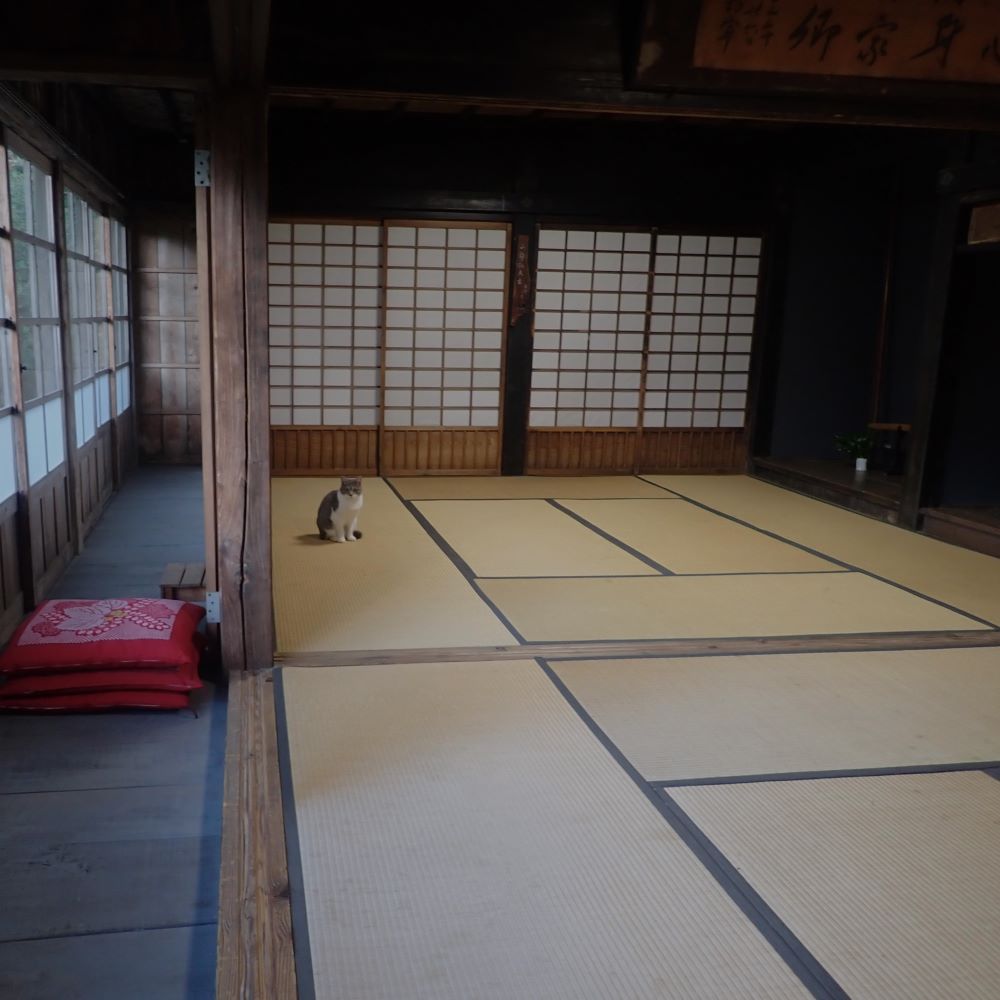 今年も獅子さん、お越しになりました。
前日にまた障子に穴をあけた猫さまは何かを察知し、#獅子舞 の時には何処かへ…
#三宅島役所跡 #初午 
#三宅島 #伊豆諸島