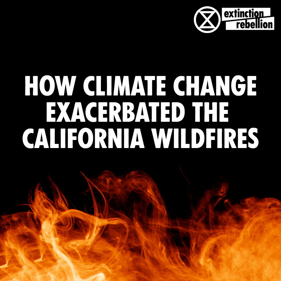 Until recently, California had been experiencing a drought, exacerbated by rising temps. Rainfall led to the growth of plants, but the return to drier conditions caused them to dry out, becoming perfect fuel for fire.

WE NEED URGENT CLIMATE ACTION NOW.

#CaliforniaFires #XR