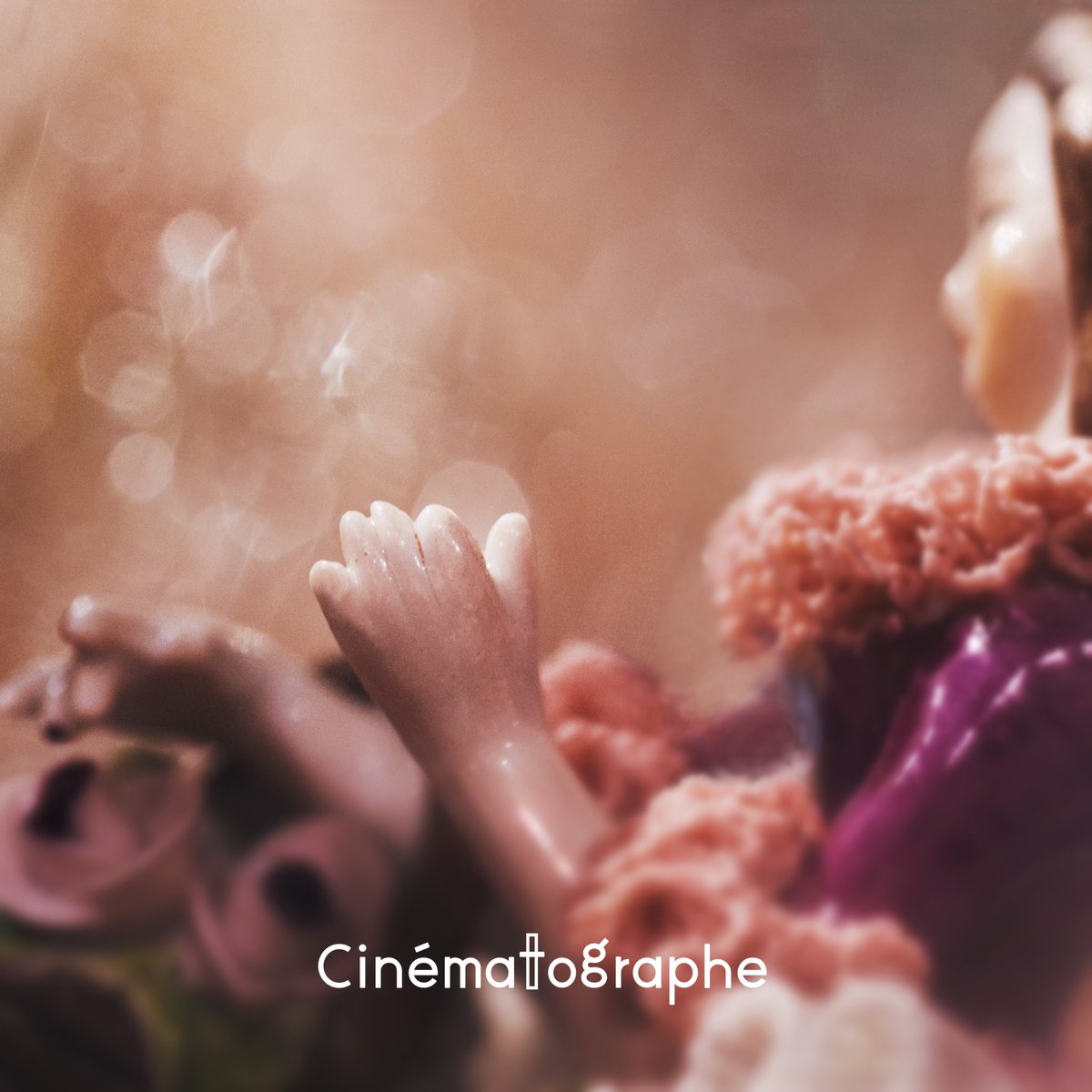 やっとこの曲を発表できることが、とても幸せです。

2/14 リリース、New Single🕊️

『小鳥の恋』

ぜひ予約などしてお待ちいただけますと幸いです。

linkco.re/ncNnmZ8a?lang=…

#cinemato