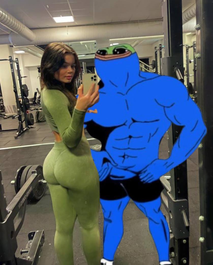 <a href="/xelf_sol/">Xelf (REPLY GUY)</a> Gm G