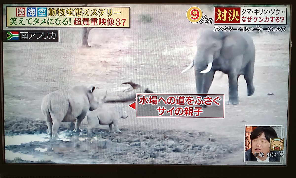snakake_Subeter's tweet photo. @ariehen_sekai @ArkMedia @nandakore_8 @gettyimagesJPN @bbcnewsjapan @Storyful 
@ViralVideoUk #めざまし8 
#28lab @Google @iStock 
本当にスペクターコミュニケーション映像ですんけ❓️😄　#テレビ朝日映像撮影部　#ミヤネ屋　#日テレ投稿ボックス @AFP @AP @Newsflare @aflofoto @CCTV https://t.co/aFTR2w7YpE