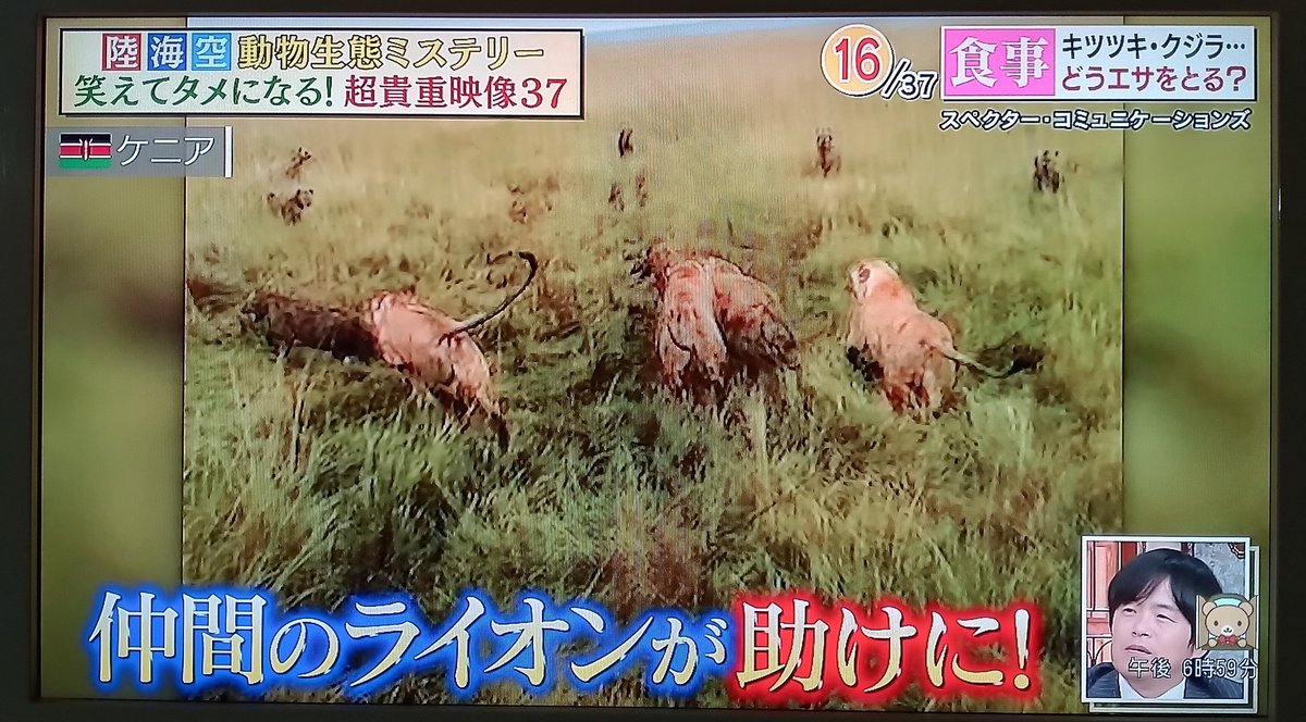 snakake_Subeter's tweet photo. @ariehen_sekai @ArkMedia @nandakore_8 @gettyimagesJPN @bbcnewsjapan @Storyful 
@ViralVideoUk #めざまし8 
#28lab @Google @iStock 
本当にスペクターコミュニケーション映像ですんけ❓️😄　#テレビ朝日映像撮影部　#ミヤネ屋　#日テレ投稿ボックス @AFP @AP @Newsflare @aflofoto @CCTV https://t.co/aFTR2w7YpE