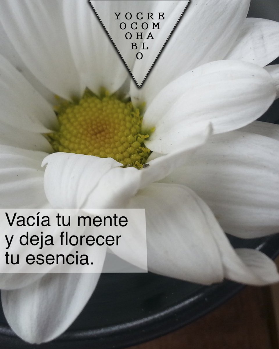 yocreocomohablo's tweet image. #yocreocomohablo #palabraspoderosas #elpoderdelapalabra #mensajespositivos