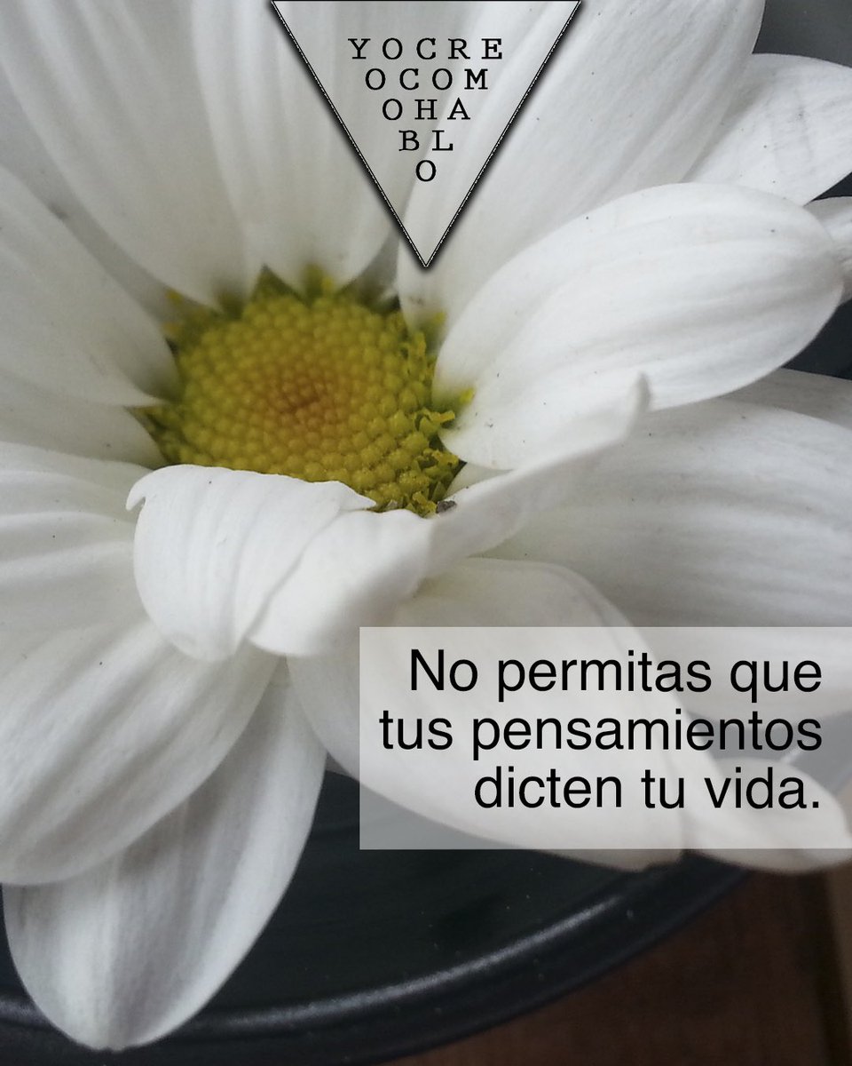 yocreocomohablo's tweet image. #yocreocomohablo #palabraspoderosas #elpoderdelapalabra #mensajespositivos