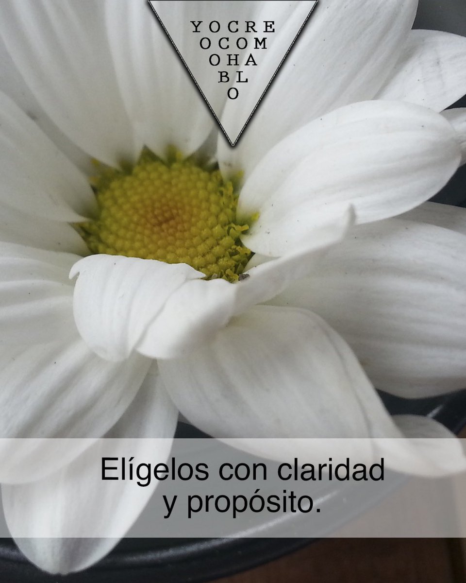 yocreocomohablo's tweet image. #yocreocomohablo #palabraspoderosas #elpoderdelapalabra #mensajespositivos