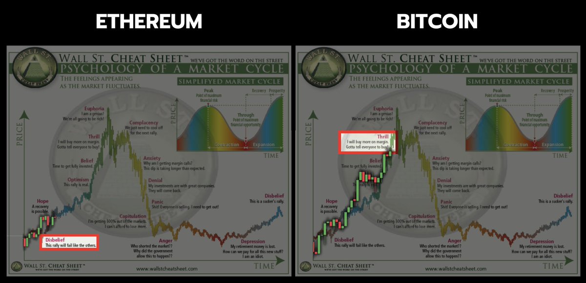 Crypto Rover tweet media
