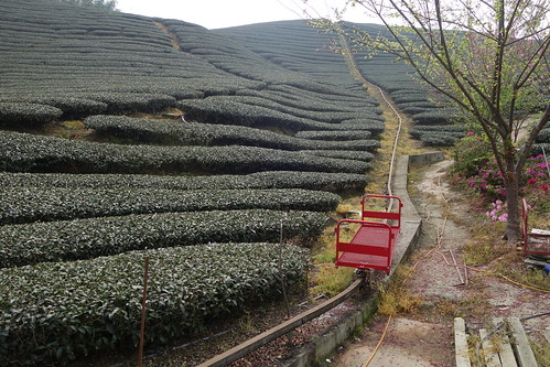 michaelturton's tweet photo. Looks like they have repurposed a tea rail, common in highland tea growing areas. 

Here is one from Taiwan https://t.co/dTGkZ6OR1S