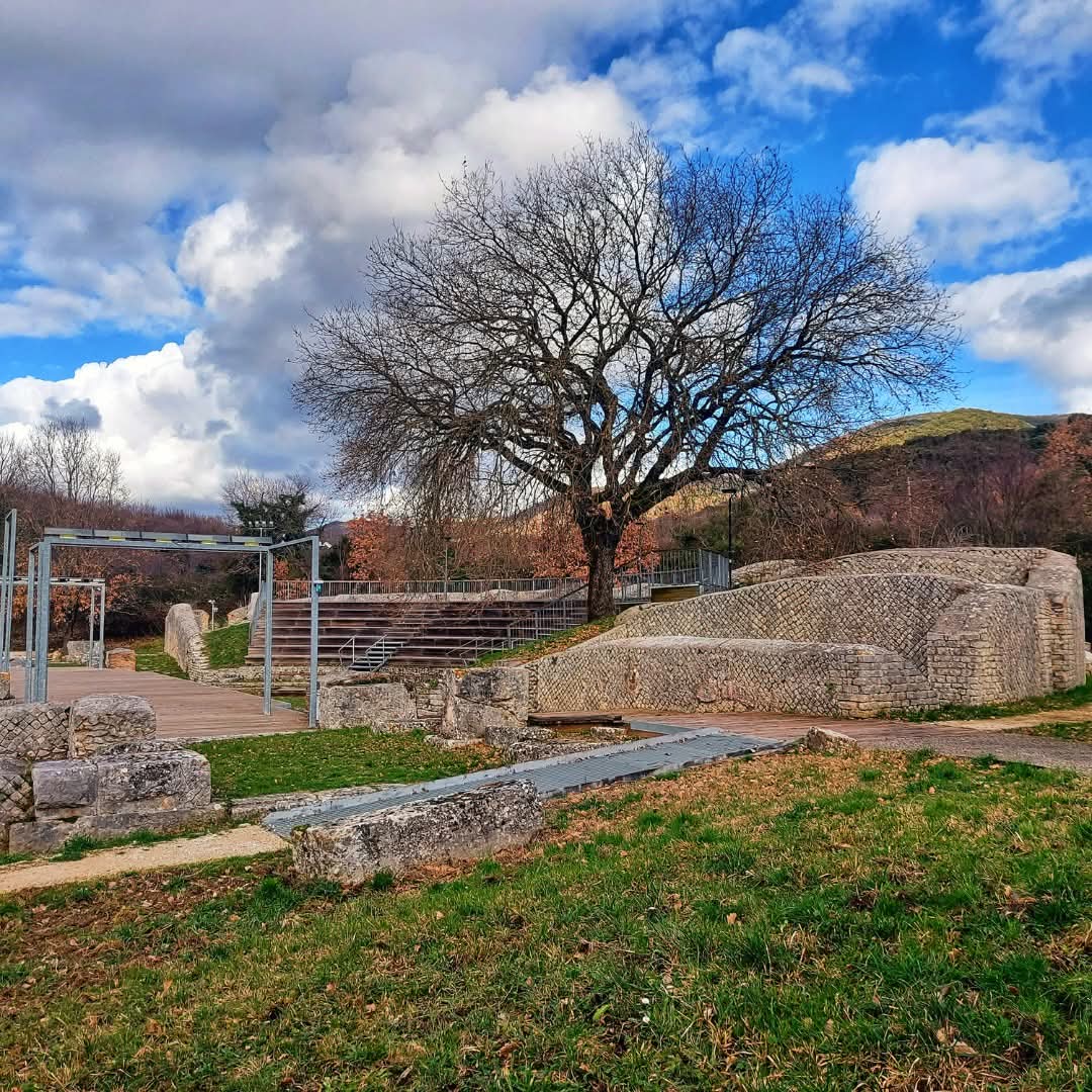 ArcheoCarsulae tweet media