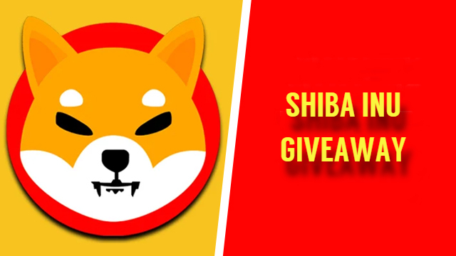 BattleChan :⚔️🔼🔽 tweet media