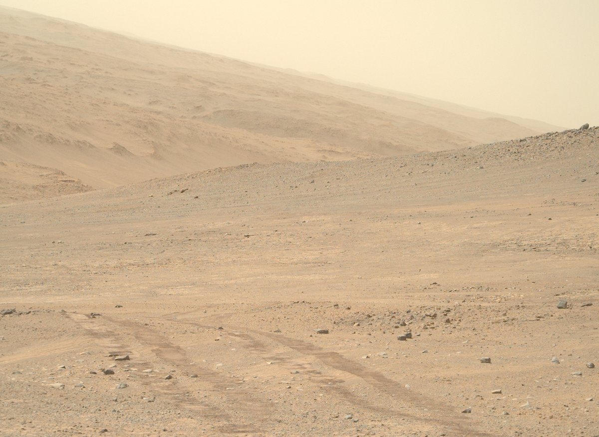 Asteroidfan tweet picture