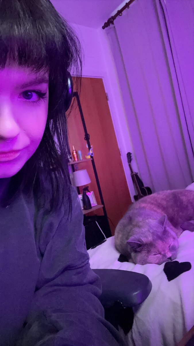 Live on twitch with this big ol brown cat

join me!

/skypalace_