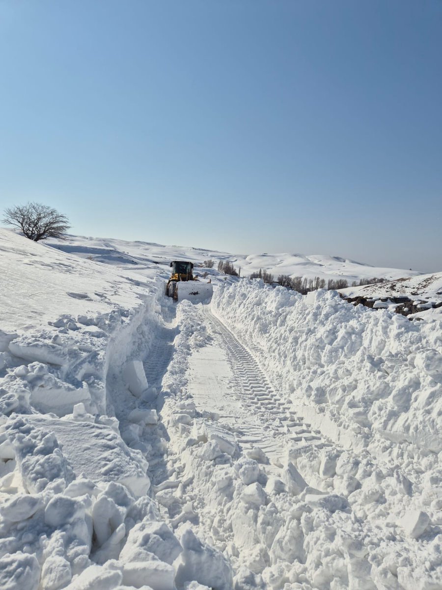 Dem Parti Muş İl Genel Meclis Üyeleri tweet media