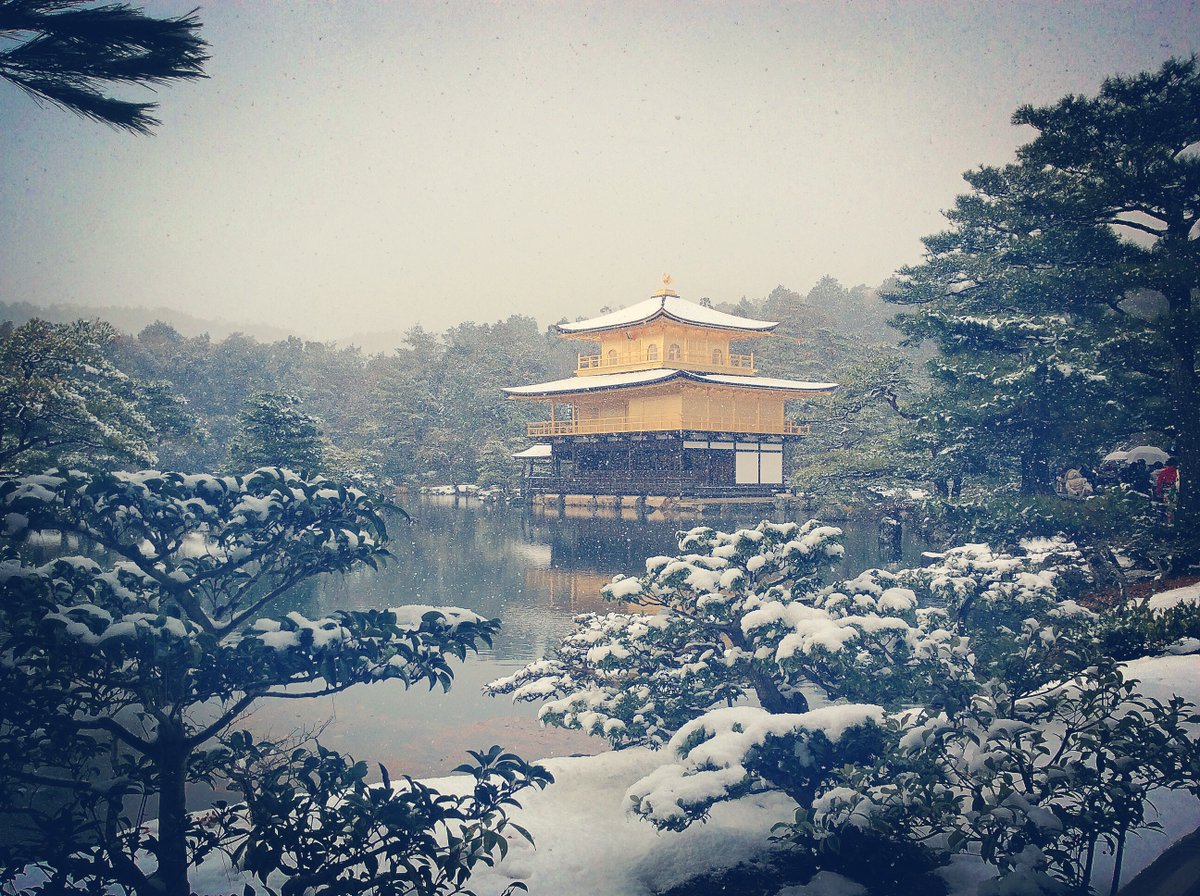 rudyversity's tweet image. 🇫🇷 Le pavillon d&apos;or sous la neige ❄︎
🇯🇵 金閣寺の雪景色 ❄︎