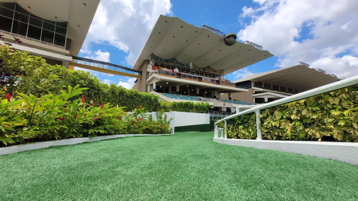 Domingo 09 de febrero en #LaRinconada
1)1-4-2
2)3-4-7
3)7-6-2
4)4/ 6-3
5)6-9-11
6)10-9-2
7)10/ 8-5 
8)5-9-2
9)7-9-4
10)9/ 7-11