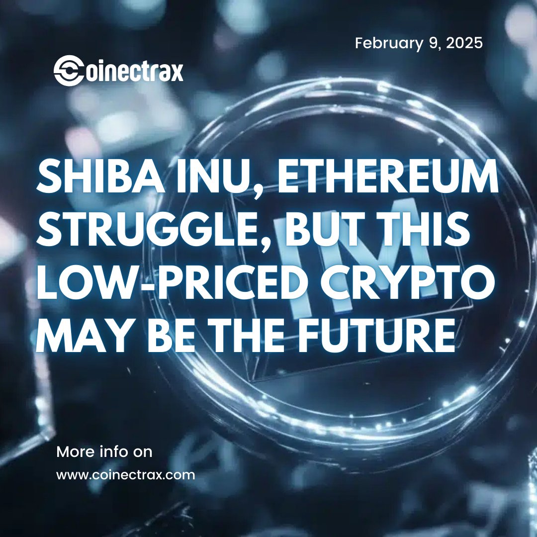 CoinectraX's tweet image. #IntelMarkets value soars 811% with more gains incoming. While Shiba Inu and Ethereum show some red price charts, IntelMarkets $INTL is making a name for itself. #Crypto #CryptoNews #ShibaInu #Ethereum #CoinectraX | buff.ly/3CfjuNp