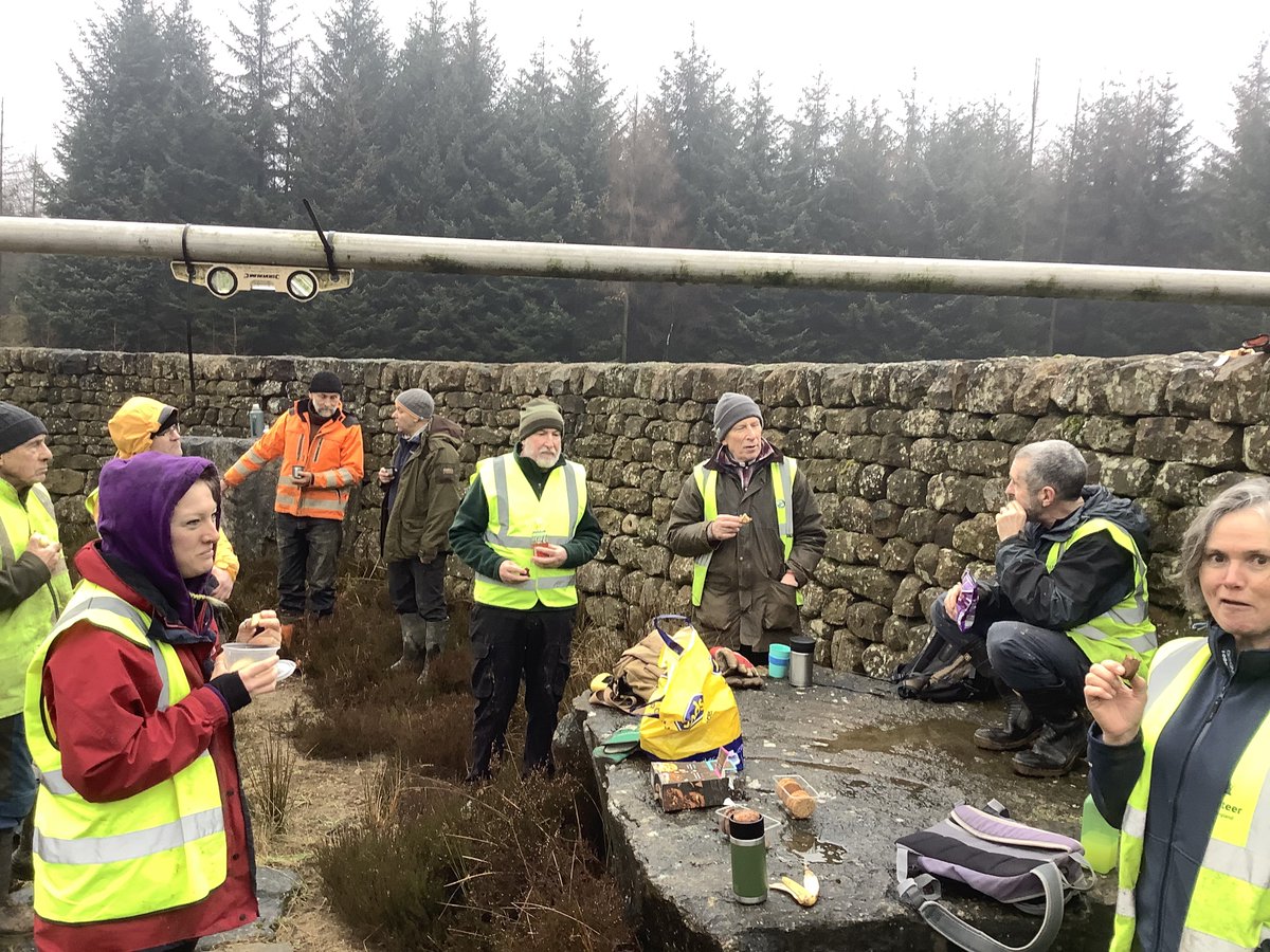 A  smallish turn out compared to some days to a cold, very muddy and physical task at the maze this morning. The tea break could.not have come quick enough. Thanks to everyone who turned out this morning!