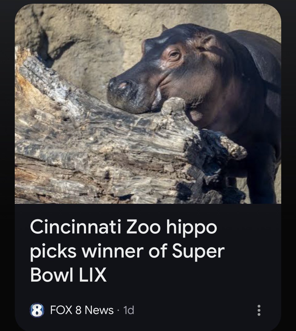 TheColePerry's tweet image. I don’t pay much attention to sports, but honestly this is so much more humane. It was barbaric to have people just running around battering each other until their brains were damaged.