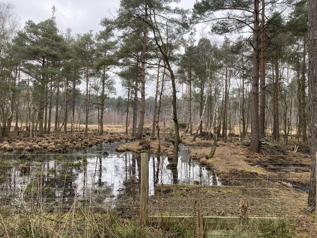 Alex Lowe tweet media