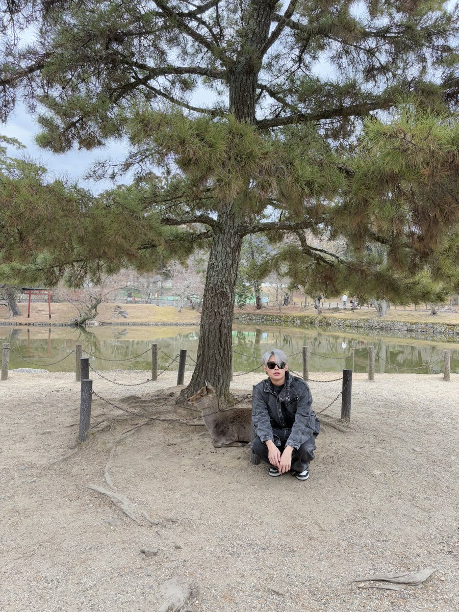 TutorKrp's tweet photo. 🫶🏻🦌

#VlogTutorYimInOsaka #TutorKrp #MyPlaneTT https://t.co/4EW2od5T2W