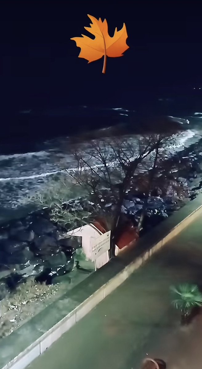 Bana diyorlar ki nasıl bu kadar kolay Silebiliyorsun çevrendekileri. 
Gemiyi siz batırdınız. limanı da ben 
Yaktım!.🍁🍁🕊