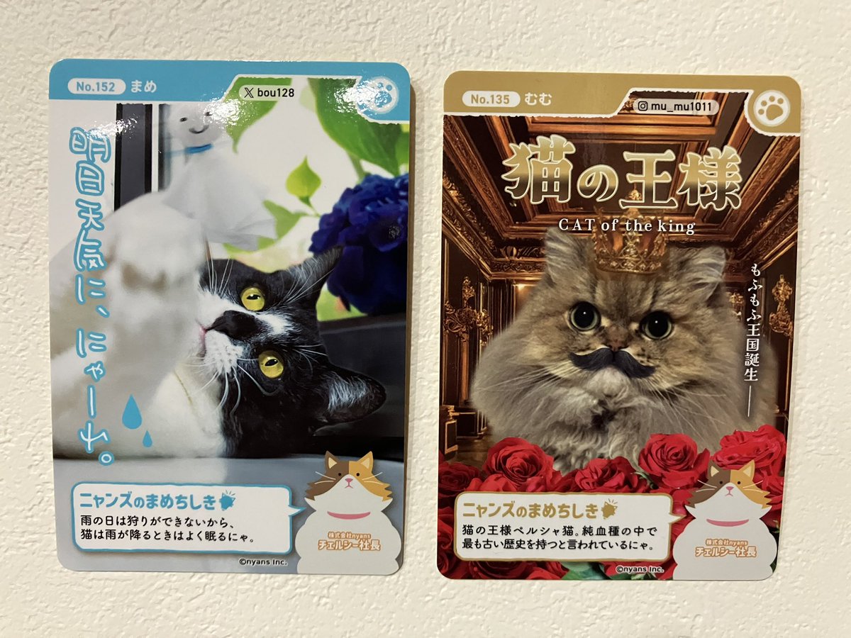 ginto1818's tweet photo. カインズでニャンズカードをゲット!!

#エキゾチックショートヘア #ねこすたぐらむ #ねこのいる生活
#猫のいる暮らし #猫好きさんと繋がりたい #ねこのきもち #pecoねこ部 #サンデイ #catst #ニャンズカード https://t.co/Qj3WNGwlXV