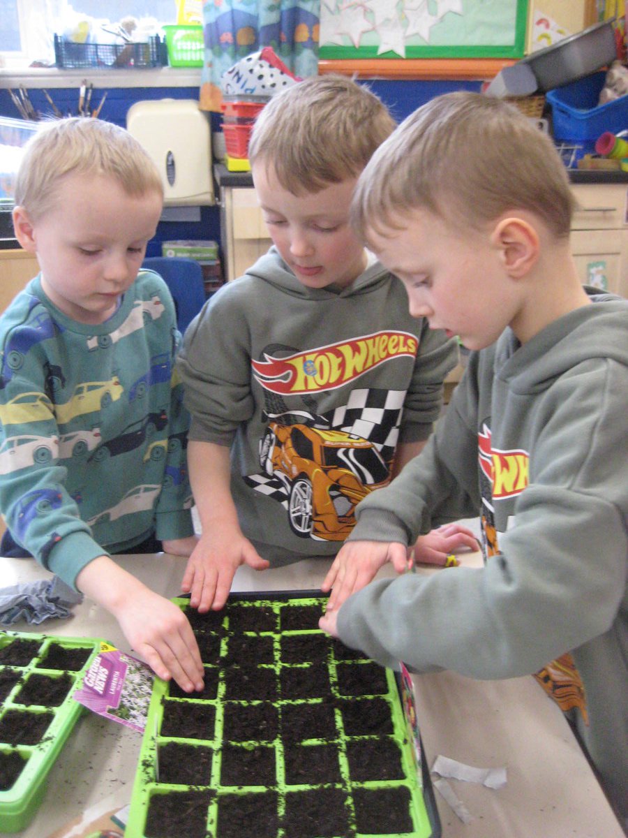 Starbeck Primary Academy tweet media