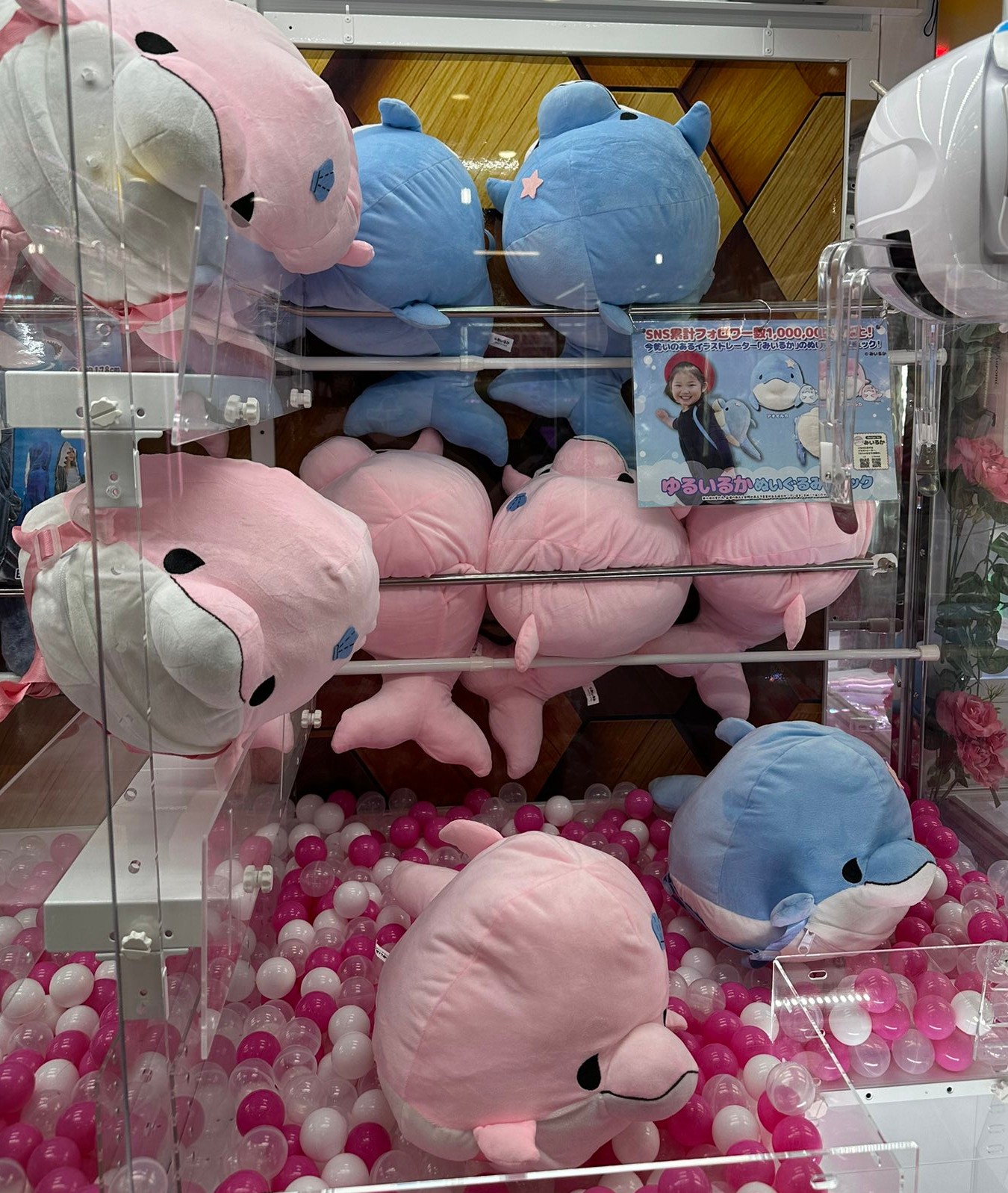 ゆるいるか ぬいぐるみリュック あおいるか ぴんくいるか みいるか ゆるいるか ぬいぐるみ リュック ピンクイルカ - メルカリ