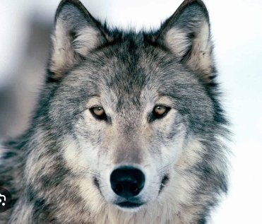 engezzi's tweet image. 