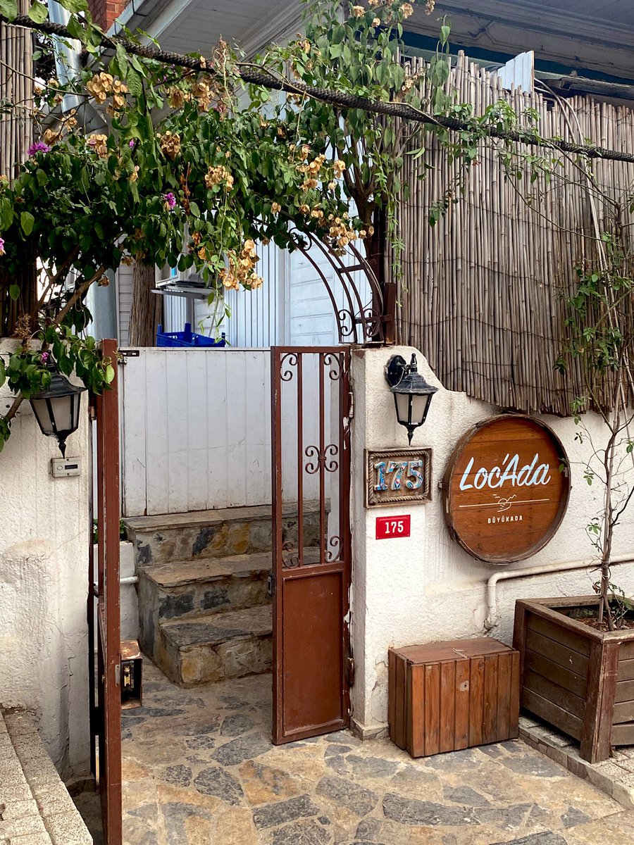 catengineerr's tweet image. O güne geri dönebilir miyiz lütfennn 🤍✨😭🥹♥️