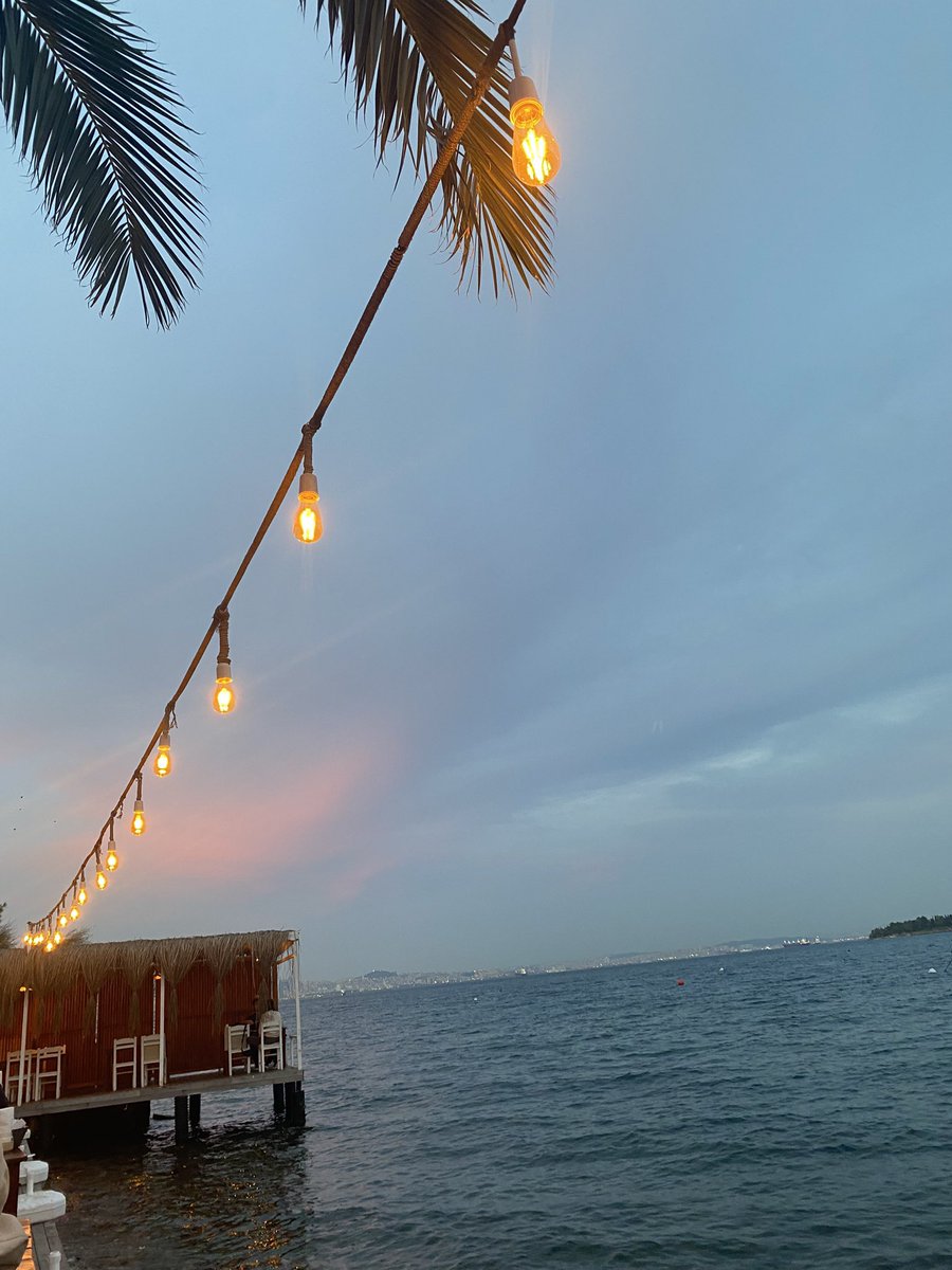 catengineerr's tweet image. O güne geri dönebilir miyiz lütfennn 🤍✨😭🥹♥️