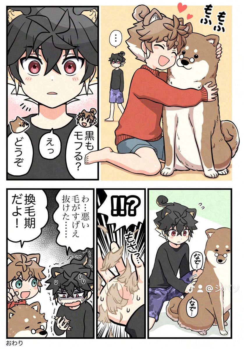 もふもふ換毛期!
<再掲> 