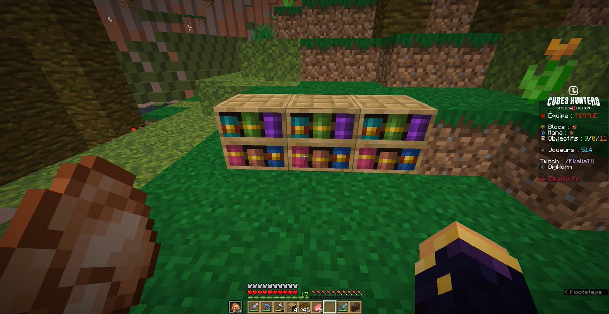 Nous avons rempli l'objectif 17 !

Équipe "TORTUE"

<a href="/Ekalia/">Ekalia</a>
 #CHME2