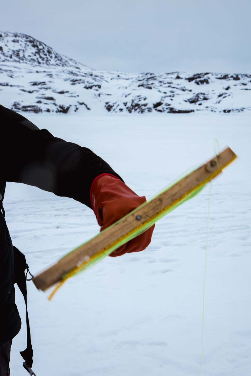 aca_elephant's tweet photo. A frozen lake. Colourful tiny houses in the distance. A small settlement in Greenland, Oqaatsut. The perfect place to go icefishing. The thrill of catching your first fish. More information on how “nature shapes your plate” in our new article on the website. https://t.co/iNEQpfpRzb