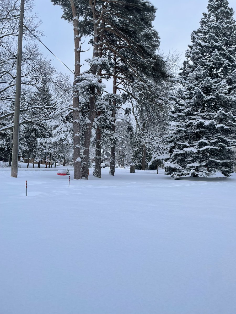 Kristoffer L. tweet media