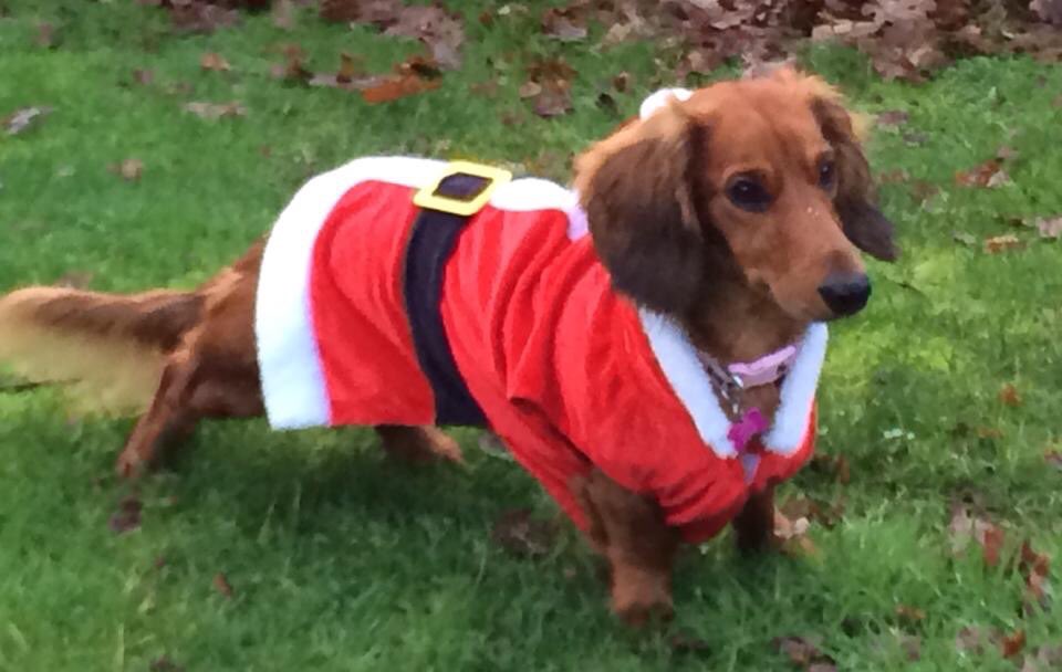 Andy Jolley tweet media