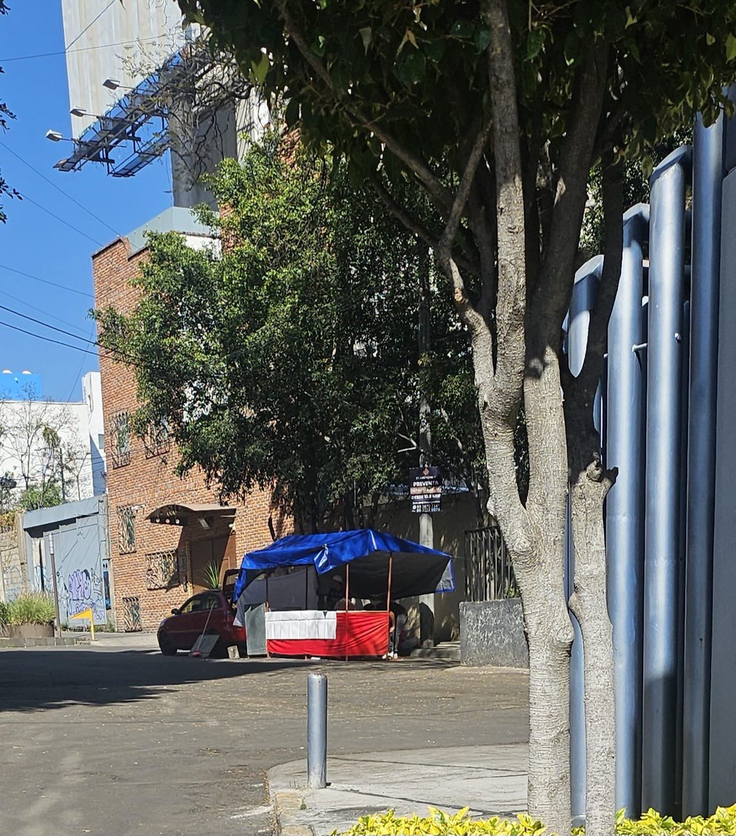 Payola (@pao_var) on Twitter photo <a href="/LuisMendozaBJ/">Luis Mendoza Acevedo</a> ¿Puedes tomar acciones en <a href="/sanjoseinsurgen/">San José Insurgentes</a> ?
Están llenando de puestos ambulantes la calle de Andrés de la Concha y Sagredo que también ocupan la vía pública <a href="/LuisMendozaBJ/">Luis Mendoza Acevedo</a> <a href="/BJAlcaldia/">Alcaldía de Benito Juárez</a> <a href="/LuisMendozaBJ/">Luis Mendoza Acevedo</a> ¿Puedes tomar acciones en <a href="/sanjoseinsurgen/">San José Insurgentes</a> ?
Están llenando de puestos ambulantes la calle de Andrés de la Concha y Sagredo que también ocupan la vía pública <a href="/LuisMendozaBJ/">Luis Mendoza Acevedo</a> <a href="/BJAlcaldia/">Alcaldía de Benito Juárez</a>