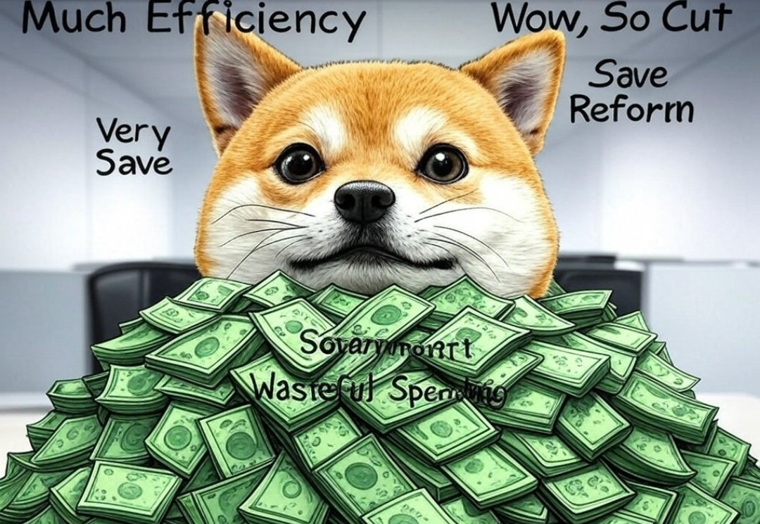 Lewant222's tweet image. DOGE isn&apos;t just a meme; it&apos;s our chance to cut the bureaucratic fat! Trump &amp;amp; Musk&apos;s initiative to streamline government, slashing waste, and making every tax dollar count. Let&apos;s make government work for us, not the other way around! #DOGE #Efficiency #GovernmentReform