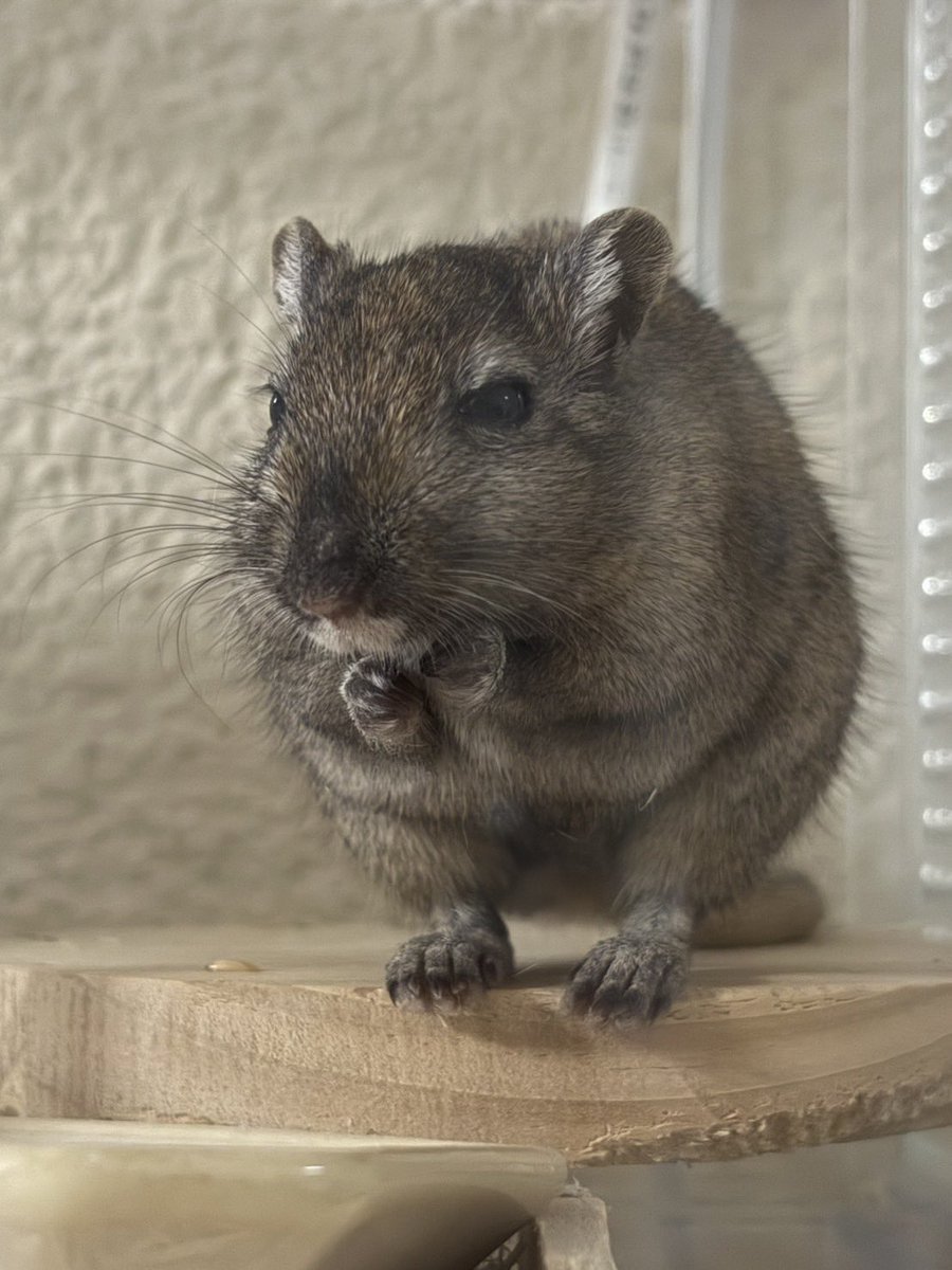 ｻﾑｯﾁ、、、