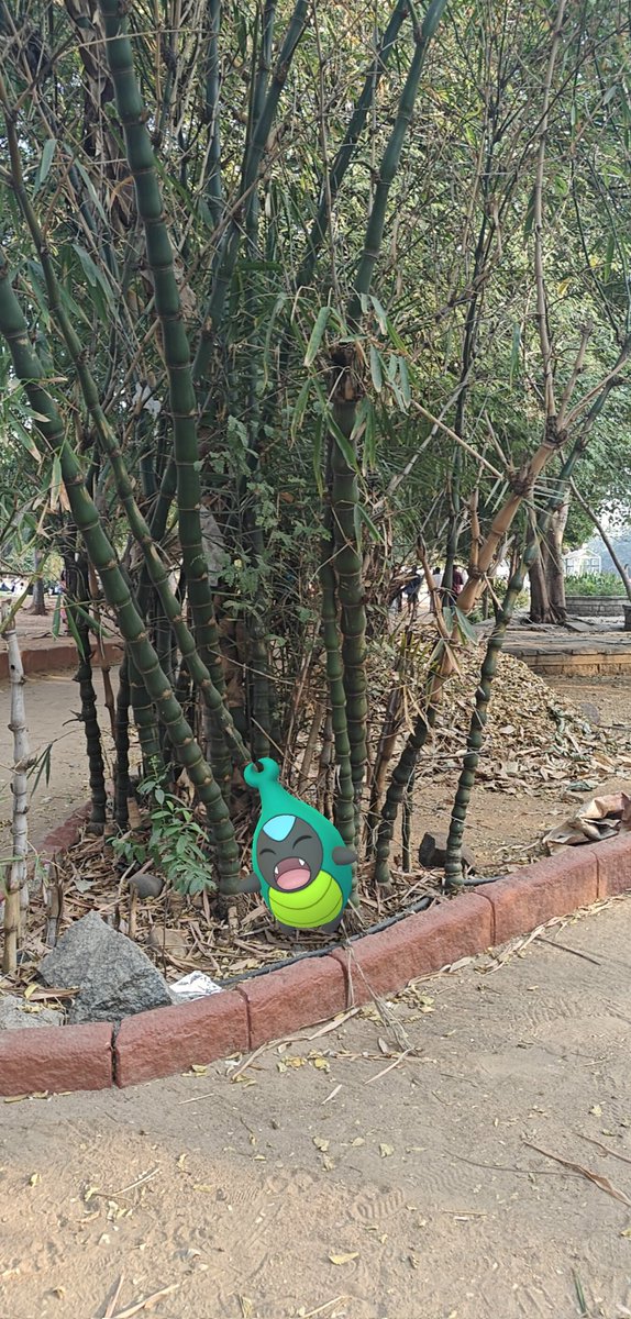 Susruth_16's tweet image. Community day AR snaps-1,ft. Karrablast having a Blast
#PokemonGOCommunityDay 
#PokemonGoARPlus
@pogohyd 
@PokemonGoAppIN