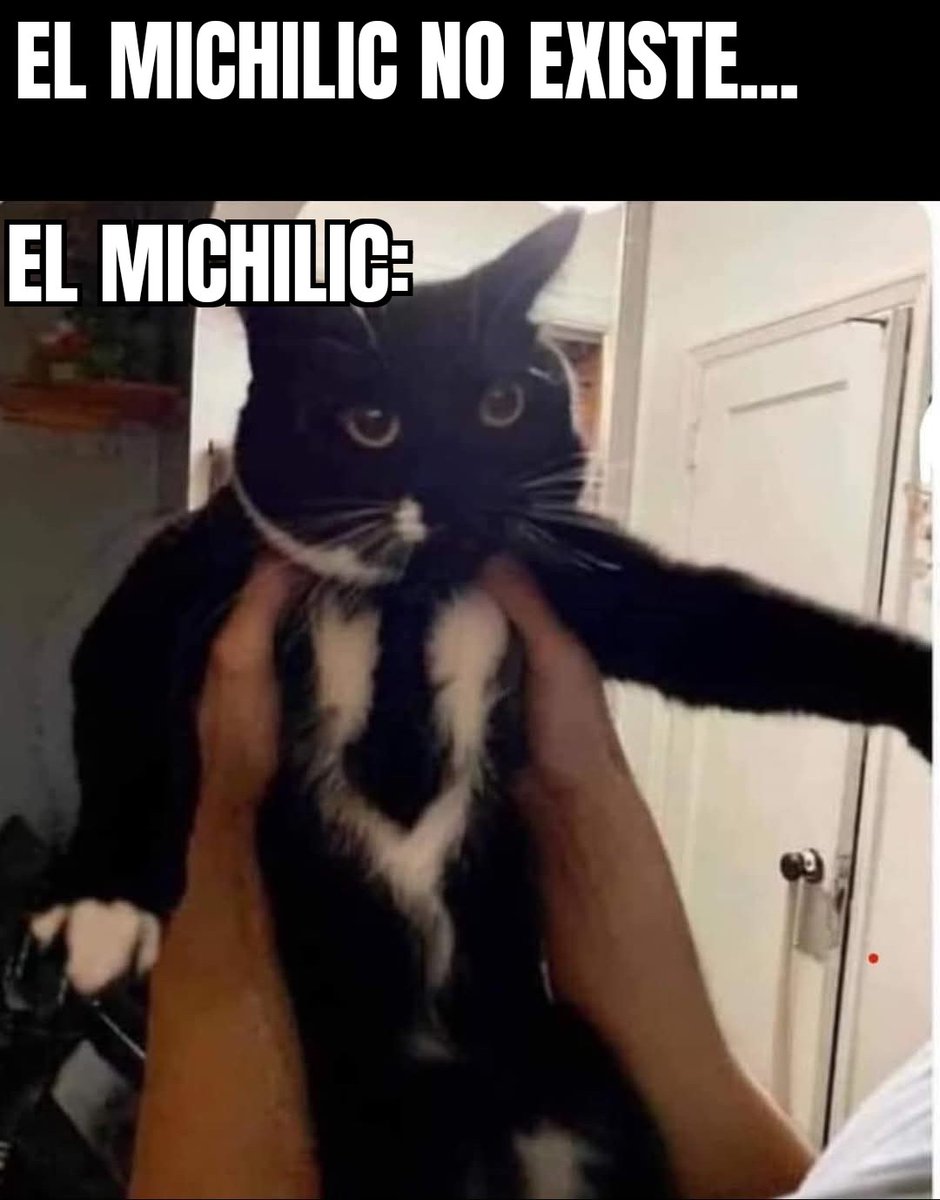alezitto tweet picture