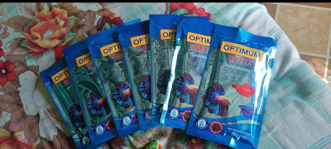 jhon_zaide's tweet photo. Optimum Betta | Betta Pellet | Optimum Pellet | Floating Pellet | Fish Pellet Food https://t.co/DHjs6nsLfE https://t.co/A18jyACCTq