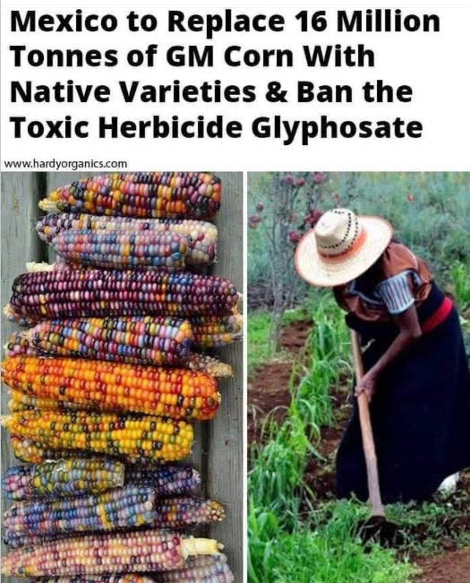 Science, Not Ideology tweet media