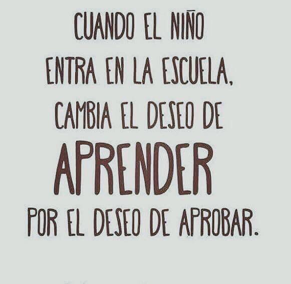NilsonArana's tweet photo. Profe, depende de ud👍🏻 https://t.co/9TdjY0UmJR